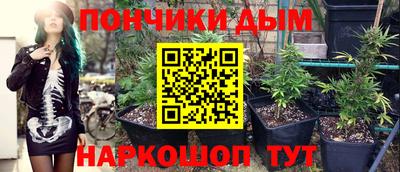 хмурый Новозыбков