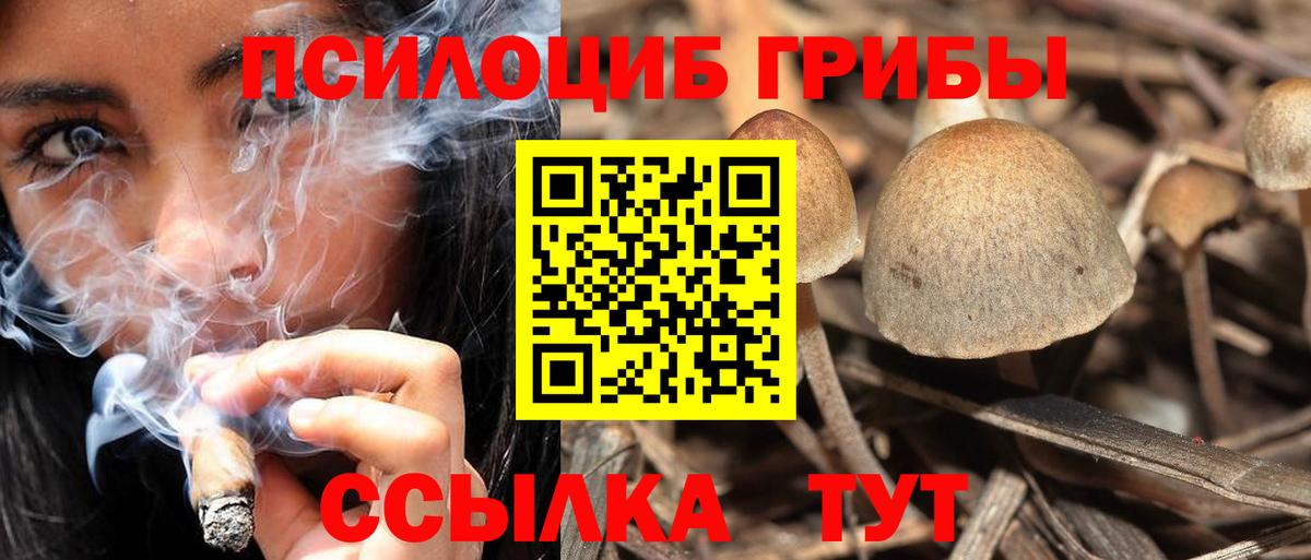 Улан-Удэ  Галлюциногенные грибы GOLDEN TEACHER  Вход с VPN  Галлюциногенные грибы GOLDEN TEACHER 